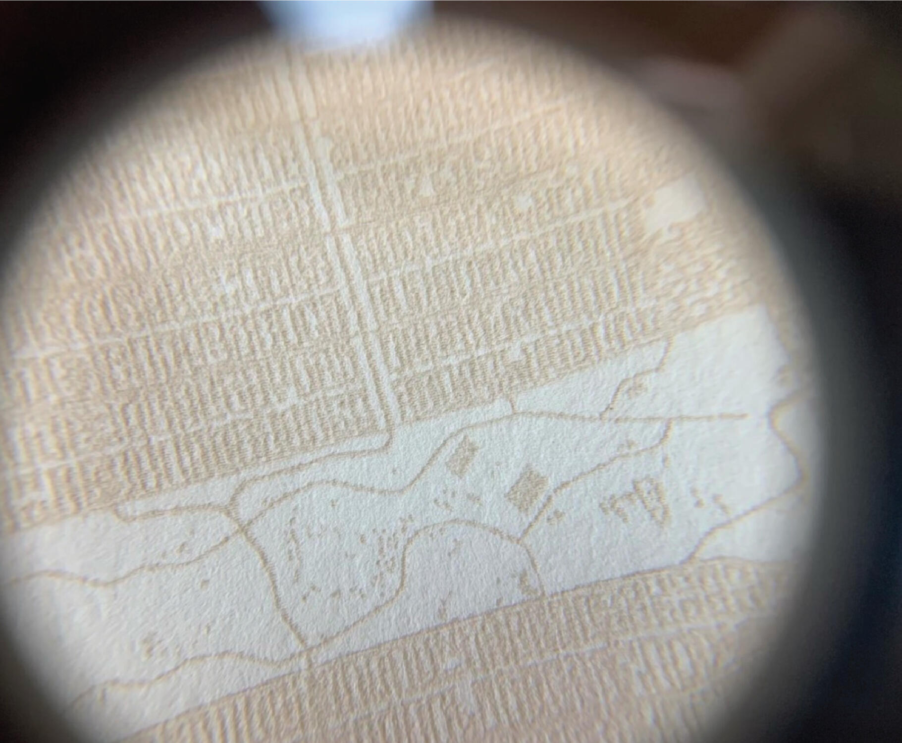 Laser Etched map detail of Golden Gate Park area in San Francisco
